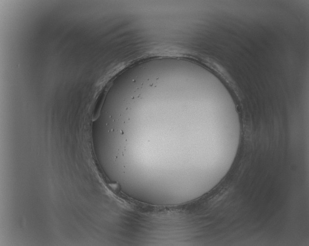 X0000052940433200507300022