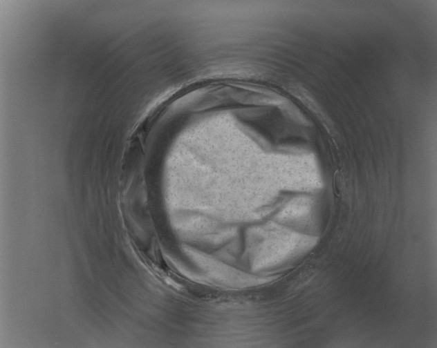 X0000052940434200507300022