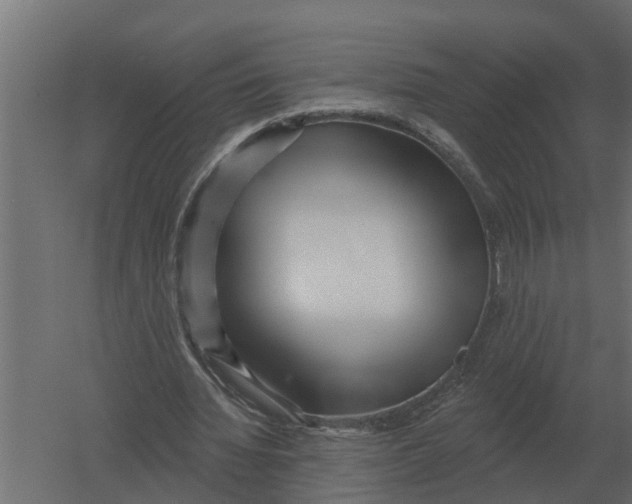 X0000052940436200507300022