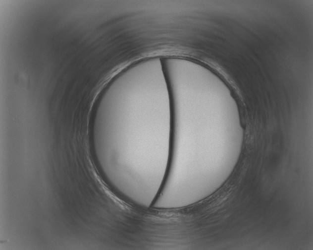 X0000052940437200507300022