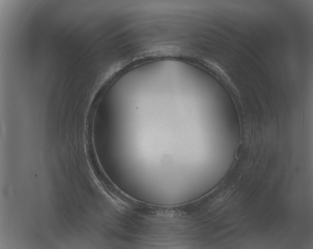 X0000052940439200507300022