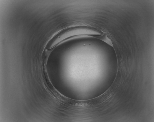 X0000052940440200507300022