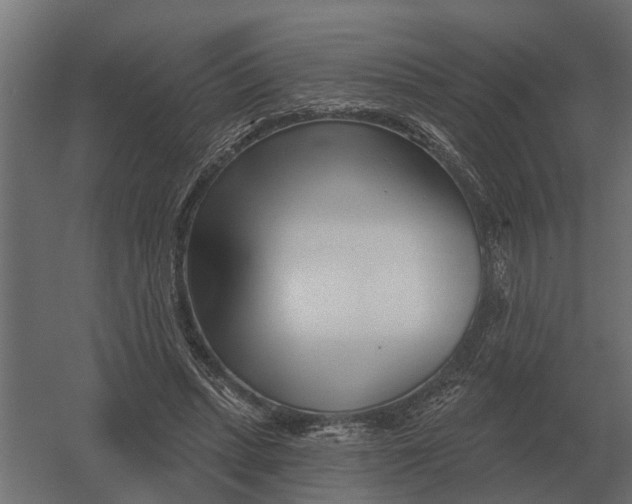 X0000052940447200507300022