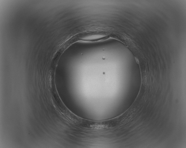 X0000052940448200507300022