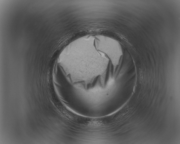 X0000052940451200507300023