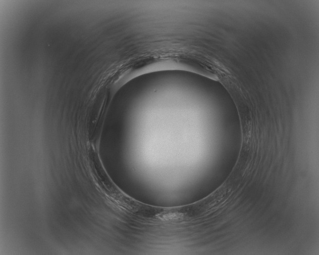 X0000052940452200507300023