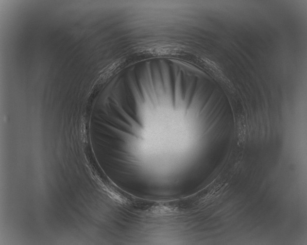 X0000052940453200507300023