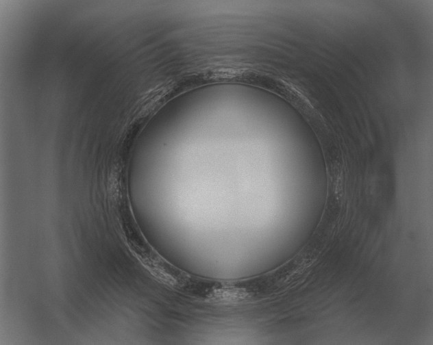 X0000052940455200507300023