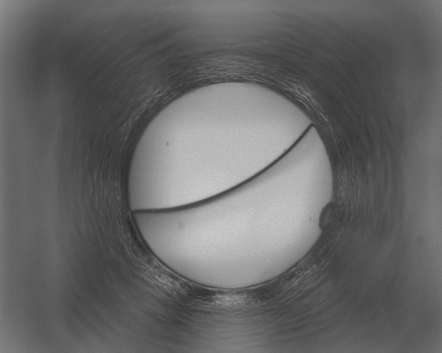 X0000052940457200507300023