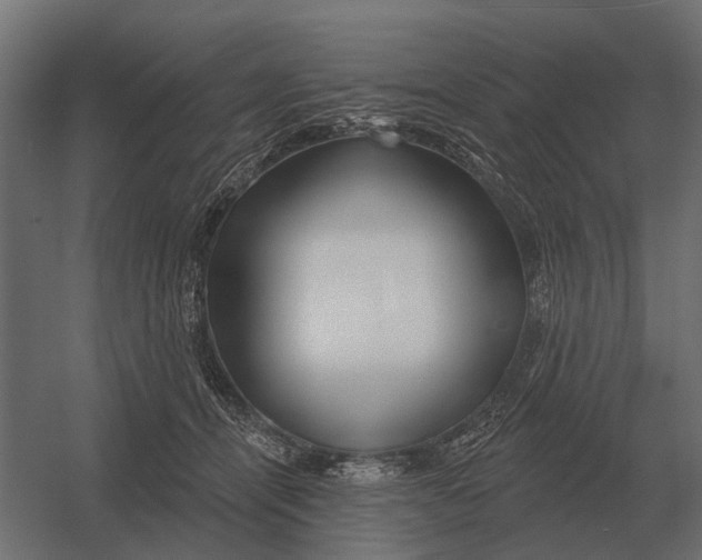 X0000052940464200507300023