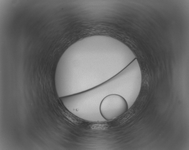 X0000052940465200507300023