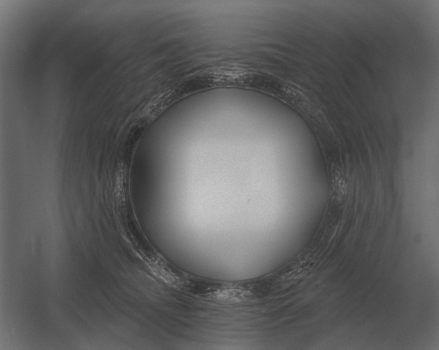 X0000052940468200507300023