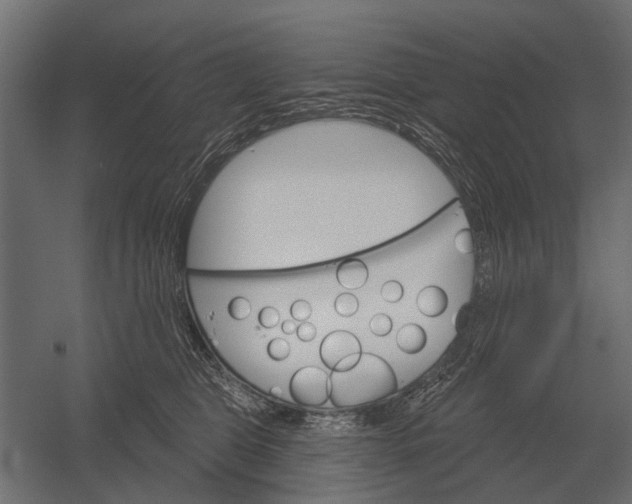 X0000052940469200507300023