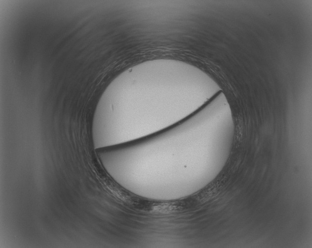 X0000052940470200507300023