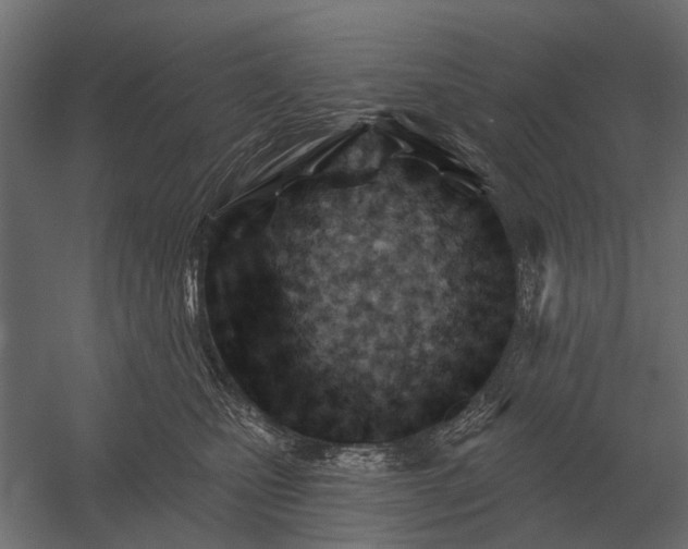 X0000052940471200507300023