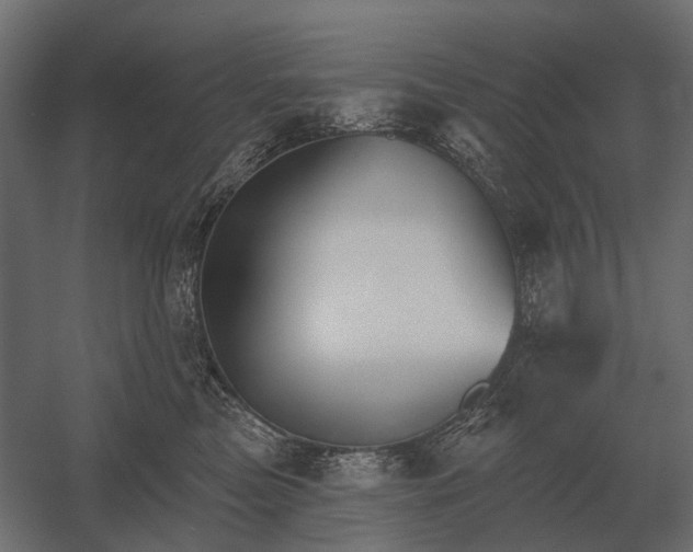 X0000052940473200507300023