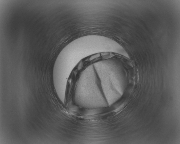 X0000052940475200507300023