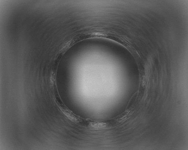 X0000052940476200507300023