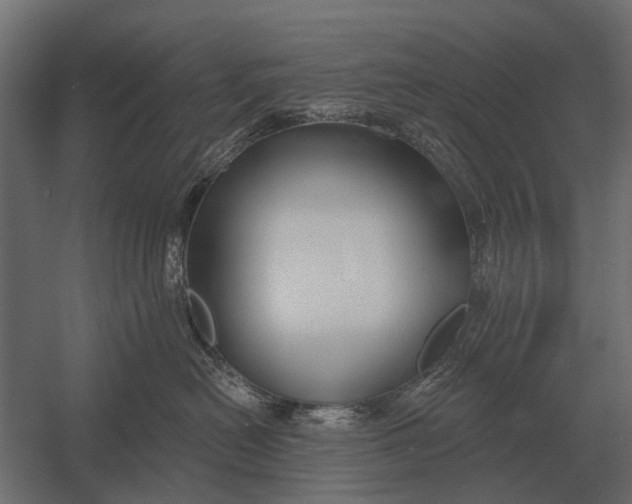 X0000052940478200507300023