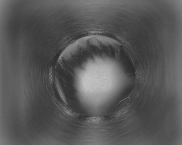 X0000052940479200507300023