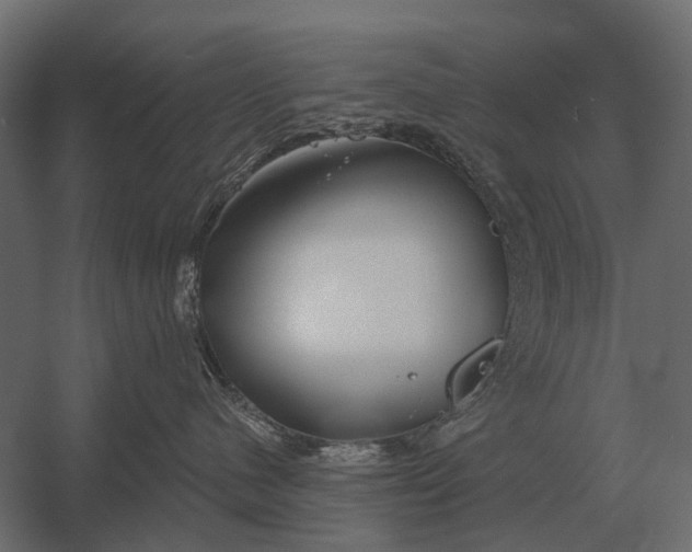 X0000052940480200507300023