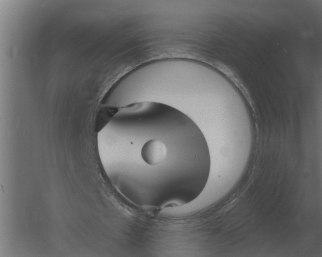 X0000052940481200507300022