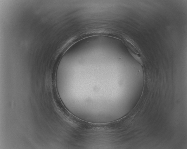 X0000052940482200507300022