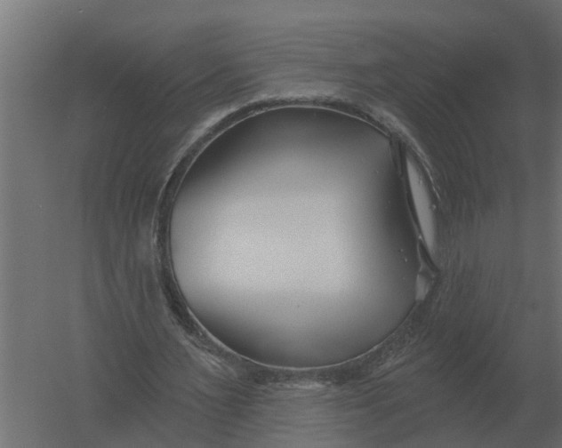 X0000052940483200507300022