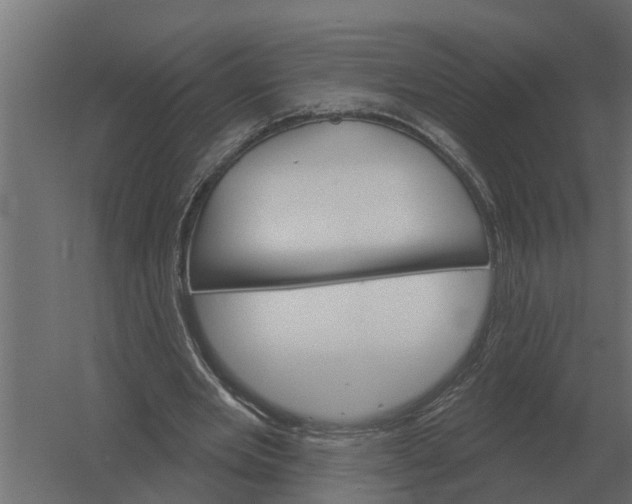 X0000052940485200507300022