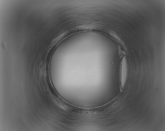 X0000052940486200507300022