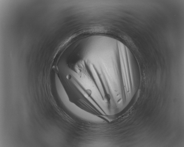 X0000052940487200507300022