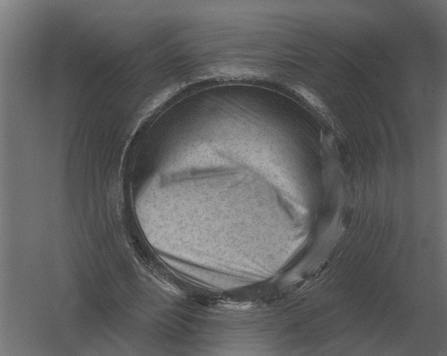 X0000052940488200507300022