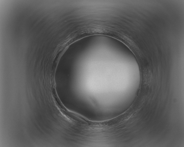 X0000052940489200507300022