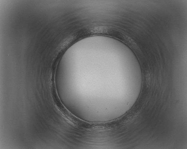 X0000052940490200507300022