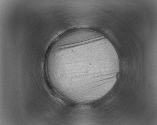 X0000052940491200507300022