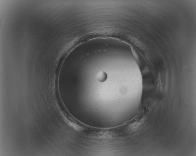 X0000052940493200507300022