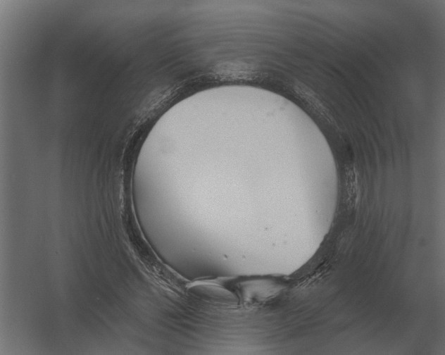 X0000052940494200507300022