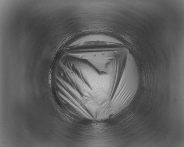 X0000052940495200507300022