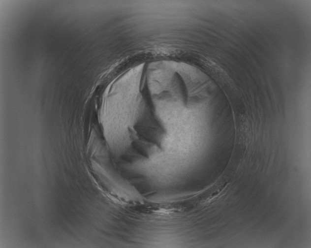 X0000052940496200507300022