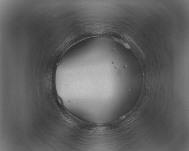 X0000052940497200507300022