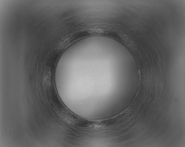 X0000052940498200507300022