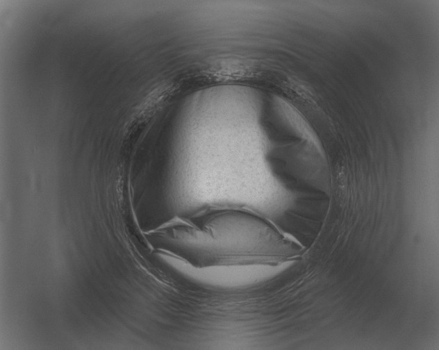 X0000052940499200507300022