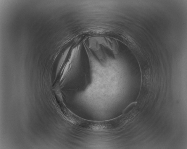 X0000052940500200507300022