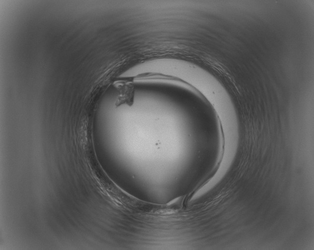 X0000052940501200507300022