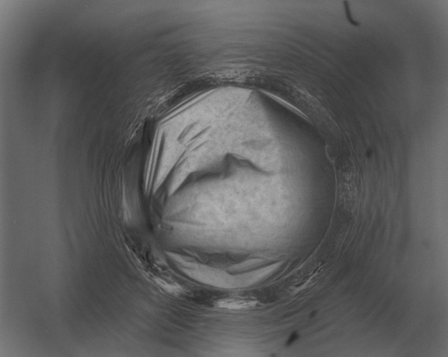 X0000052940504200507300022