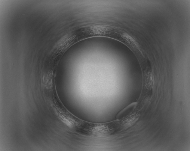 X0000052940505200507300022