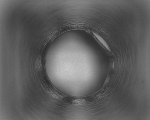 X0000052940508200507300022