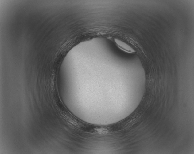 X0000052940509200507300022