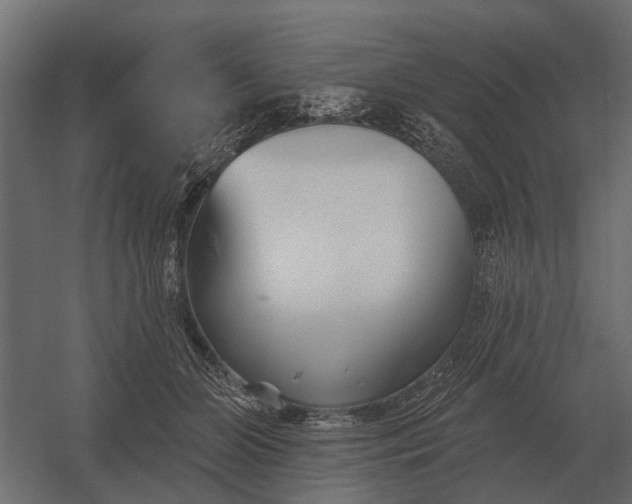 X0000052940510200507300022