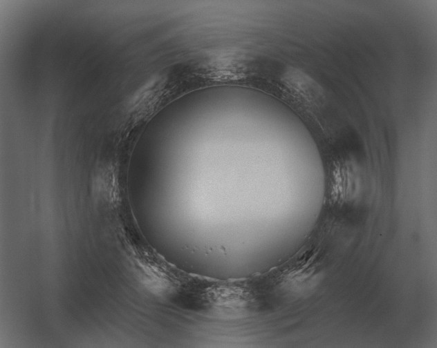 X0000052940512200507300022